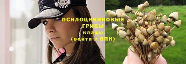 герыч Алексеевка