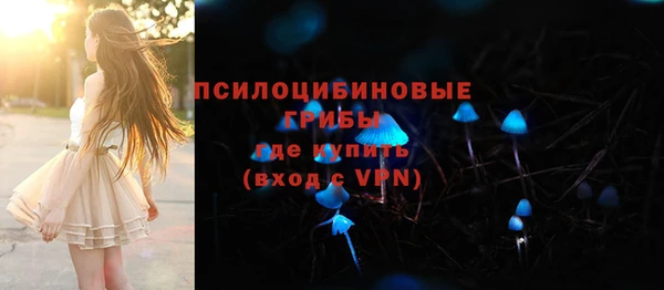 а пвп мука Алзамай
